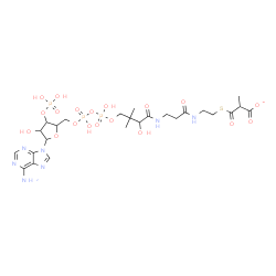ChemSpider 2D Image | 1-[5-(6-Amino-9H-purin-9-yl)-4-hydroxy-3-(phosphonooxy)tetrahydro-2-furanyl]-3,5,9-trihydroxy-8,8,20-trimethyl-10,14,19-trioxo-2,4,6-trioxa-18-thia-11,15-diaza-3,5-diphosphahenicosan-21-oate 3,5-dioxi
de | C25H39N7O19P3S