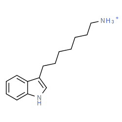 ChemSpider 2D Image | 7-(1H-Indol-3-yl)-1-heptanaminium | C15H23N2