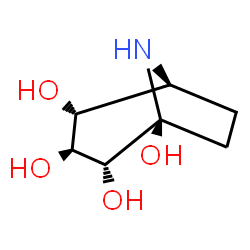 ChemSpider 2D Image | (1S,2R,3S,4R,5S)-8-Azabicyclo[3.2.1]octane-1,2,3,4-tetrol | C7H13NO4