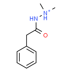 ChemSpider 2D Image | 1,1-Dimethyl-2-(phenylacetyl)hydrazinium | C10H15N2O