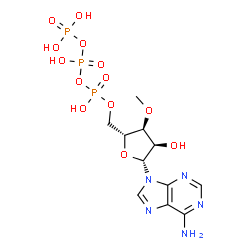 ChemSpider 2D Image | 3'-O-Methyladenosine 5'-(tetrahydrogen triphosphate) | C11H18N5O13P3