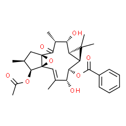 ChemSpider 2D Image | (1R,3R,4R,5R,7S,8R,9R,10E,12S,13S,14S)-13-Acetoxy-4,9-dihydroxy-3,6,6,10,14-pentamethyl-2-oxo-16-oxatetracyclo[10.3.1.0~1,12~.0~5,7~]hexadec-10-en-8-yl benzoate | C29H36O8