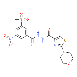 ChemSpider 2D Image | N'-[3-(Methylsulfonyl)-5-nitrobenzoyl]-2-(4-morpholinyl)-1,3-thiazole-4-carbohydrazide | C16H17N5O7S2