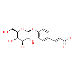 ChemSpider 2D Image | (2E)-3-[4-(beta-D-Glucopyranosyloxy)phenyl]acrylate | C15H17O8
