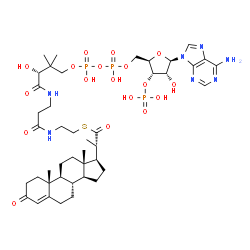 ChemSpider 2D Image | S-{(9R)-1-[(2R,3S,4R,5R)-5-(6-Amino-9H-purin-9-yl)-4-hydroxy-3-(phosphonooxy)tetrahydro-2-furanyl]-3,5,9-trihydroxy-8,8-dimethyl-3,5-dioxido-10,14-dioxo-2,4,6-trioxa-11,15-diaza-3lambda~5~,5lambda~5~-
diphosphaheptadecan-17-yl} (2S)-2-[(8S,9S,10R,13S,14S,17R)-10,13-dimethyl-3-oxo-2,3,6,7,8,9,10,11,12,13,14,15,16,17-tetradecahydro-1H-cyclopenta[a]phenanthren-17-yl]propanethioate (non-preferred name) | C43H66N7O18P3S