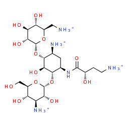 ChemSpider 2D Image | (1S,2S,3R,4S,6R)-4-Ammonio-3-[(6-ammonio-6-deoxy-alpha-D-glucopyranosyl)oxy]-6-{[(2S)-4-ammonio-2-hydroxybutanoyl]amino}-2-hydroxycyclohexyl 3-ammonio-3-deoxy-alpha-D-glucopyranoside | C22H47N5O13