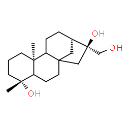 ChemSpider 2D Image | (5R,9S,13S,14S)-14-(Hydroxymethyl)-5,9-dimethyltetracyclo[11.2.1.0~1,10~.0~4,9~]hexadecane-5,14-diol | C19H32O3