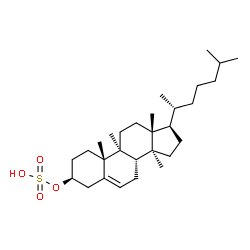 ChemSpider 2D Image | (3beta)-9,14-Dimethylcholest-5-en-3-yl hydrogen sulfate | C29H50O4S