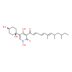 ChemSpider 2D Image | 5-(cis-1,4-Dihydroxycyclohexyl)-1,4-dihydroxy-3-[(2E,4E,6E)-6,8,10-trimethyl-2,4,6-dodecatrienoyl]-2(1H)-pyridinone | C26H37NO6