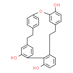 ChemSpider 2D Image | 15-Oxapentacyclo[20.2.2.2~16,19~.1~10,14~.0~2,7~]nonacosa-1(24),2,4,6,10(29),11,13,16,18,22,25,27-dodecaene-3,13,24-triol | C28H24O4