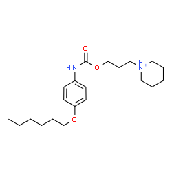 ChemSpider 2D Image | 1-[3-({[4-(Hexyloxy)phenyl]carbamoyl}oxy)propyl]piperidinium | C21H35N2O3