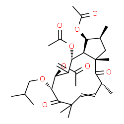 ChemSpider 2D Image | (1S,2S,3aS,5R,10R,11S,13R,13aR)-10-Isobutoxy-2,3a,5,8,8-pentamethyl-12-methylene-4,9-dioxo-2,3,3a,4,5,8,9,10,11,12,13,13a-dodecahydro-1H-cyclopenta[12]annulene-1,11,13-triyl triacetate | C31H46O9