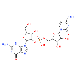 ChemSpider 2D Image | [2-(2-amino-6-oxo-3H-purin-9-yl)-4-hydroxy-5-(hydroxymethyl)tetrahydrofuran-3-yl] [5-(4-amino-2-oxo-pyrimidin-1-yl)-3,4-dihydroxy-tetrahydrofuran-2-yl]methyl hydrogen phosphate | C19H25N8O12P