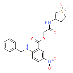 ChemSpider 2D Image | 2-[(1,1-Dioxidotetrahydro-3-thiophenyl)amino]-2-oxoethyl 2-(benzylamino)-5-nitrobenzoate | C20H21N3O7S