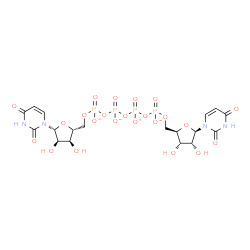 ChemSpider 2D Image | [[(2R,3S,4R,5R)-5-(2,4-dioxopyrimidin-1-yl)-3,4-dihydroxy-tetrahydrofuran-2-yl]methoxy-oxido-phosphoryl] [[[(2R,3S,4R,5R)-5-(2,4-dioxopyrimidin-1-yl)-3,4-dihydroxy-tetrahydrofuran-2-yl]methoxy-oxido-phosphoryl]oxy-oxido-phosphoryl] phosphate | C18H22N4O23P4