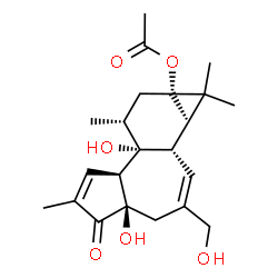 ChemSpider 2D Image | (1bS,4aR,7aS,7bR,8R)-4a,7b-Dihydroxy-3-(hydroxymethyl)-1,1,6,8-tetramethyl-5-oxo-1,1a,1b,4,4a,5,7a,7b,8,9-decahydro-9aH-cyclopropa[3,4]benzo[1,2-e]azulen-9a-yl acetate | C22H30O6
