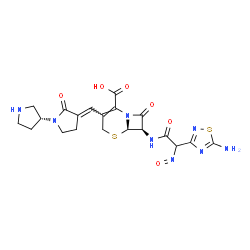 ChemSpider 2D Image | (6R,7R)-7-{[(5-Amino-1,2,4-thiadiazol-3-yl)(nitroso)acetyl]amino}-8-oxo-3-{(E)-[(3'R)-2-oxo-1,3'-bipyrrolidin-3-ylidene]methyl}-5-thia-1-azabicyclo[4.2.0]oct-2-ene-2-carboxylic acid | C20H22N8O6S2