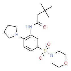 ChemSpider 2D Image | 3,3-Dimethyl-N-[5-(4-morpholinylsulfonyl)-2-(1-pyrrolidinyl)phenyl]butanamide | C20H31N3O4S