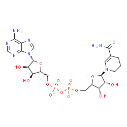 ChemSpider 2D Image | [[(2R,3S,4R,5R)-5-(6-aminopurin-9-yl)-3,4-dihydroxy-tetrahydrofuran-2-yl]methoxy-oxido-phosphoryl] [(3S,4R,5R)-5-(5-carbamoyl-3,4-dihydro-2H-pyridin-1-yl)-3,4-dihydroxy-tetrahydrofuran-2-yl]methyl phosphate | C21H29N7O14P2