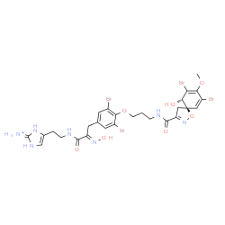 ChemSpider 2D Image | 4-(2-{[(2E)-3-{3,5-Dibromo-4-[3-({[(5R,10S)-7,9-dibromo-10-hydroxy-8-methoxy-1-oxa-2-azaspiro[4.5]deca-2,6,8-trien-3-yl]carbonyl}amino)propoxy]phenyl}-2-(hydroxyimino)propanoyl]amino}ethyl)-1,3-dihydr
o-2H-imidazol-2-iminium | C27H30Br4N7O7