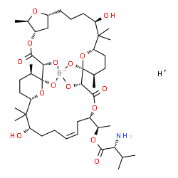 ChemSpider 2D Image | Hydrogen [(1R)-1-[(1S,2R,5S,6R,8R,12R,14S,17R,18S,19R,22S,24Z,28S,30S,33R)-12,28-dihydroxy-1,2,18,19-tetra(hydroxy-kappaO)-6,13,13,17,29,29,33-heptamethyl-3,20-dioxo-4,7,21,34,35-pentaoxatetracyclo[28
.3.1.1~5,8~.1~14,18~]hexatriacont-24-en-22-yl]ethyl D-valinatato(4-)]borate(1-) | C45H74BNO15