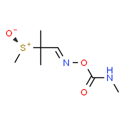 ChemSpider 2D Image | (5E)-7,7-Dimethyl-3-oxo-4-oxa-8-thionia-2,5-diazanon-5-en-8-olate | C7H14N2O3S