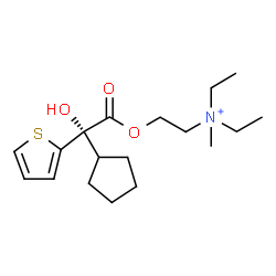 ChemSpider 2D Image | 2-{[(2S)-2-Cyclopentyl-2-hydroxy-2-(2-thienyl)acetyl]oxy}-N,N-diethyl-N-methylethanaminium | C18H30NO3S
