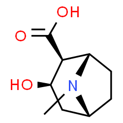 ChemSpider 2D Image | (+)-Ecgonine | C9H15NO3