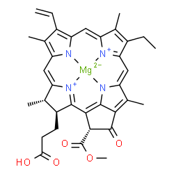 ChemSpider 2D Image | {3-[(3S,4S,21R)-14-Ethyl-21-(methoxycarbonyl)-4,8,13,18-tetramethyl-20-oxo-9-vinyl-3-phorbinyl-kappa~4~N~23~,N~24~,N~25~,N~26~]propanoato(2-)}magnesium | C35H34MgN4O5