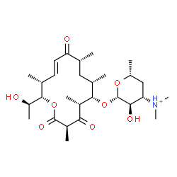 ChemSpider 2D Image | (3R,5R,6S,7S,9R,11E,13R,14S)-14-[(1R)-1-Hydroxyethyl]-3,5,7,9,13-pentamethyl-2,4,10-trioxooxacyclotetradec-11-en-6-yl 3,4,6-trideoxy-3-(dimethylammonio)-beta-D-xylo-hexopyranoside | C28H48NO8