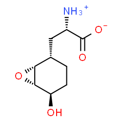 ChemSpider 2D Image | L-dihydroanticapsin | C9H15NO4