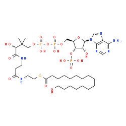 ChemSpider 2D Image | 16-hydroxyhexadecanoyl-CoA | C37H66N7O18P3S