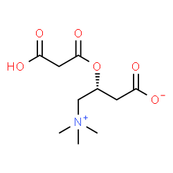 ChemSpider 2D Image | O-malonyl-L-carnitine | C10H17NO6