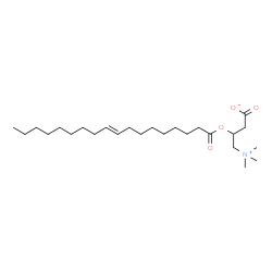 ChemSpider 2D Image | (9E)-octadec-9-enoylcarnitine | C25H47NO4