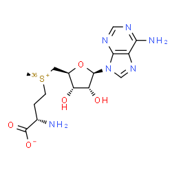 ChemSpider 2D Image | (2S)-2-Amino-4-[{[(2S,3S,4R,5R)-5-(6-amino-9H-purin-9-yl)-3,4-dihydroxytetrahydro-2-furanyl]methyl}(methyl)(~36~S)sulfonio]butanoate (non-preferred name) | C15H22N6O536S