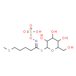 ChemSpider 2D Image | 1-S-[(1E)-5-(Methylsulfanyl)-N-(sulfooxy)pentanimidoyl]-1-thiohexopyranose | C12H23NO9S3