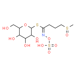 ChemSpider 2D Image | 1-S-[(1E)-4-(Methylsulfinyl)-N-(sulfooxy)butanimidoyl]-1-thiohexopyranose | C11H21NO10S3