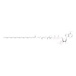 ChemSpider 2D Image | S-{(9R)-1-[(2R,3S,4R,5R)-5-(6-Amino-9H-purin-9-yl)-4-hydroxy-3-(phosphonooxy)tetrahydro-2-furanyl]-3,5,9-trihydroxy-8,8-dimethyl-3,5-dioxido-10,14-dioxo-2,4,6-trioxa-11,15-diaza-3lambda~5~,5lambda~5~-
diphosphaheptadecan-17-yl} (6Z,9Z,12Z,15Z,18Z,21Z)-6,9,12,15,18,21-tetracosahexaenethioate (non-preferred name) | C45H70N7O17P3S