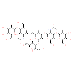 ChemSpider 2D Image | beta-D-Galactopyranosyl-(1->3)-2-acetamido-2-deoxy-beta-D-glucopyranosyl-(1->3)-[beta-D-galactopyranosyl-(1->4)-2-acetamido-2-deoxy-beta-D-glucopyranosyl-(1->6)]-beta-D-erythro-hexopyranosyl-(1->4)-D-
glucose | C40H68N2O31
