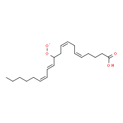 ChemSpider 2D Image | [(4Z,7Z,11E,13Z)-1-Carboxy-4,7,11,13-nonadecatetraen-10-yl]dioxidanyl | C20H31O4