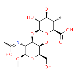 ChemSpider 2D Image | Methyl 2-deoxy-3-O-(4-deoxy-4-methyl-beta-D-glucopyranuronosyl)-2-[(Z)-(1-hydroxyethylidene)amino]-beta-D-galactopyranoside | C16H27NO11