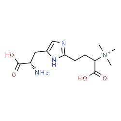 ChemSpider 2D Image | 3-{5-[(2S)-2-Amino-2-carboxyethyl]-1H-imidazol-2-yl}-1-carboxy-N,N,N-trimethyl-1-propanaminium | C13H23N4O4