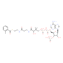 ChemSpider 2D Image | S-{1-[(2R,3S,4R,5R)-5-(6-Amino-9H-purin-9-yl)-4-hydroxy-3-(phosphonooxy)tetrahydro-2-furanyl]-3,5,9-trihydroxy-8,8-dimethyl-3,5-dioxido-10,14-dioxo-2,4,6-trioxa-11,15-diaza-3lambda~5~,5lambda~5~-dipho
sphaheptadecan-17-yl} 2-methylbenzenecarbothioate (non-preferred name) | C29H42N7O17P3S