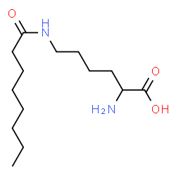 ChemSpider 2D Image | N~6~-Octanoyllysine | C14H28N2O3