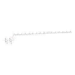 ChemSpider 2D Image | 2-Acetamido-4-O-(2-acetamido-2-deoxy-beta-D-glucopyranosyl)-2-deoxy-1-O-[{[{[(6E,10E,14E,18E,22E,26E,30E,34E,38E,42E,46E,50E,54E,58E)-3,7,11,15,19,23,27,31,35,39,43,47,51,55,59,63-hexadecamethyl-6,10,
14,18,22,26,30,34,38,42,46,50,54,58,62-tetrahexacontapentadecaen-1-yl]oxy}(hydroxy)phosphoryl]oxy}(hydroxy)phosphoryl]-beta-D-glucopyranose | C96H160N2O17P2