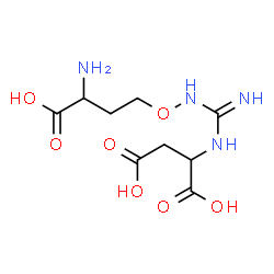ChemSpider 2D Image | canavaninosuccinate | C9H16N4O7