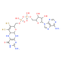 ChemSpider 2D Image | 9-{5-O-[({[(2-Amino-4-oxo-6,7-disulfanyl-3,5,5a,8,9a,10-hexahydro-4H-pyrano[3,2-g]pteridin-8-yl)methoxy](hydroxy)phosphoryl}oxy)(hydroxy)phosphoryl]pentofuranosyl}-9H-purin-6-amine | C20H26N10O12P2S2