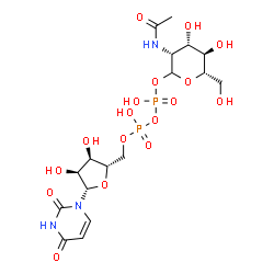 ChemSpider 2D Image | (3R,4S,5R,6S)-3-Acetamido-4,5-dihydroxy-6-(hydroxymethyl)tetrahydro-2H-pyran-2-yl [(2S,3R,4S,5S)-5-(2,4-dioxo-3,4-dihydro-1(2H)-pyrimidinyl)-3,4-dihydroxytetrahydro-2-furanyl]methyl dihydrogen diphosp
hate (non-preferred name) | C17H27N3O17P2