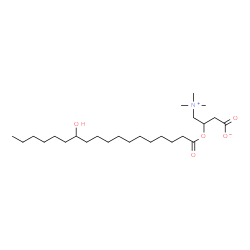 ChemSpider 2D Image | 3-[(12-Hydroxyoctadecanoyl)oxy]-4-(trimethylammonio)butanoate | C25H49NO5
