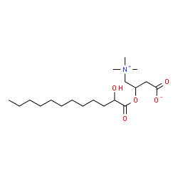 ChemSpider 2D Image | 3-[(2-Hydroxydodecanoyl)oxy]-4-(trimethylammonio)butanoate | C19H37NO5